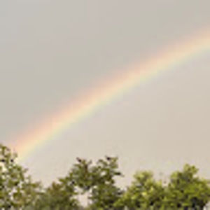 Meet your Posher, Cleo